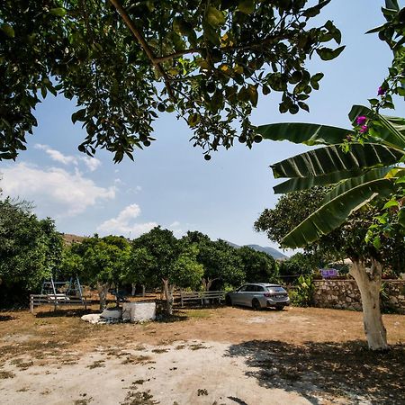 Orchard Retreat Aparthotel Himare Ngoại thất bức ảnh